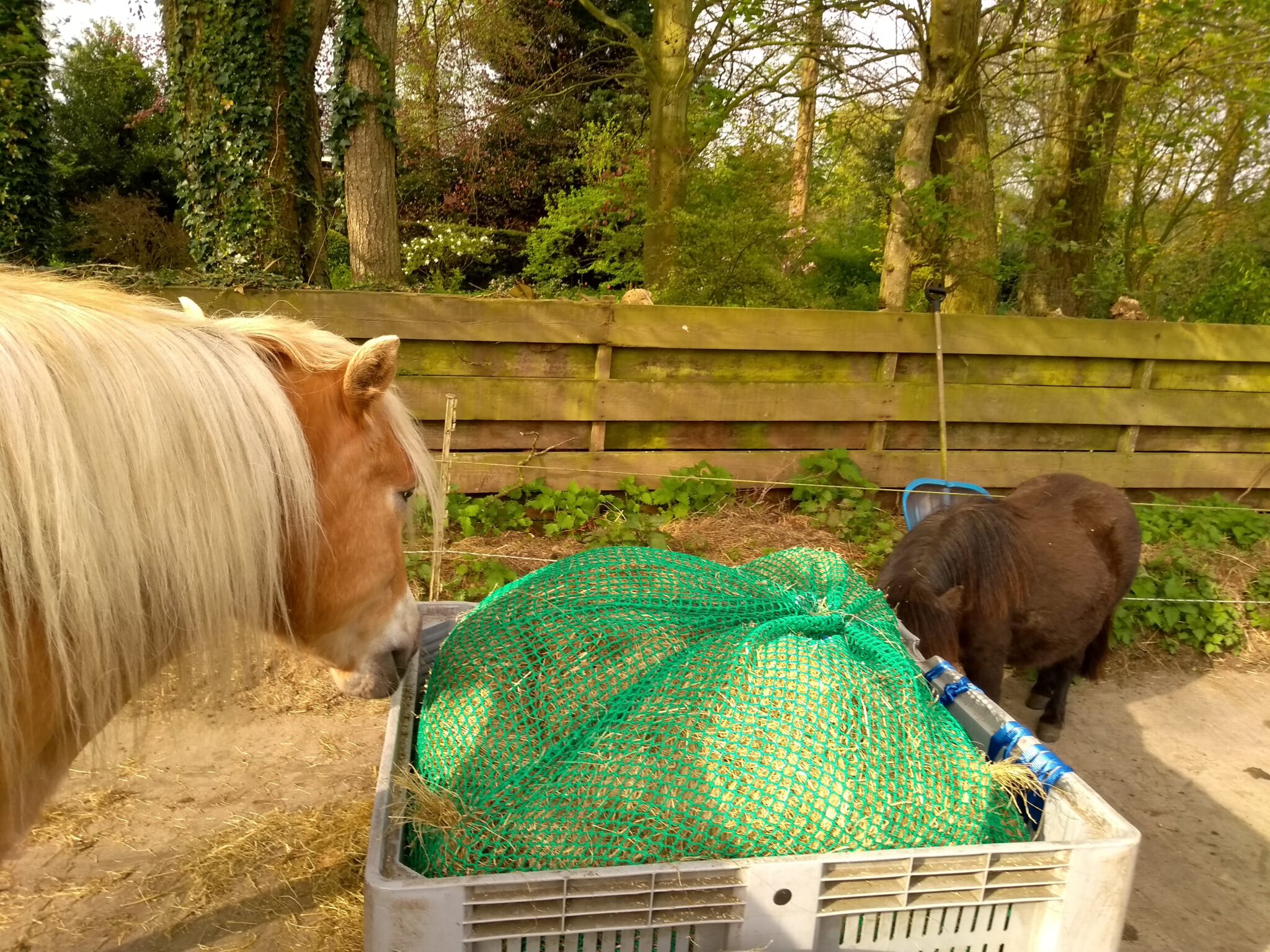 slowfeeder Paarden buiten houden
